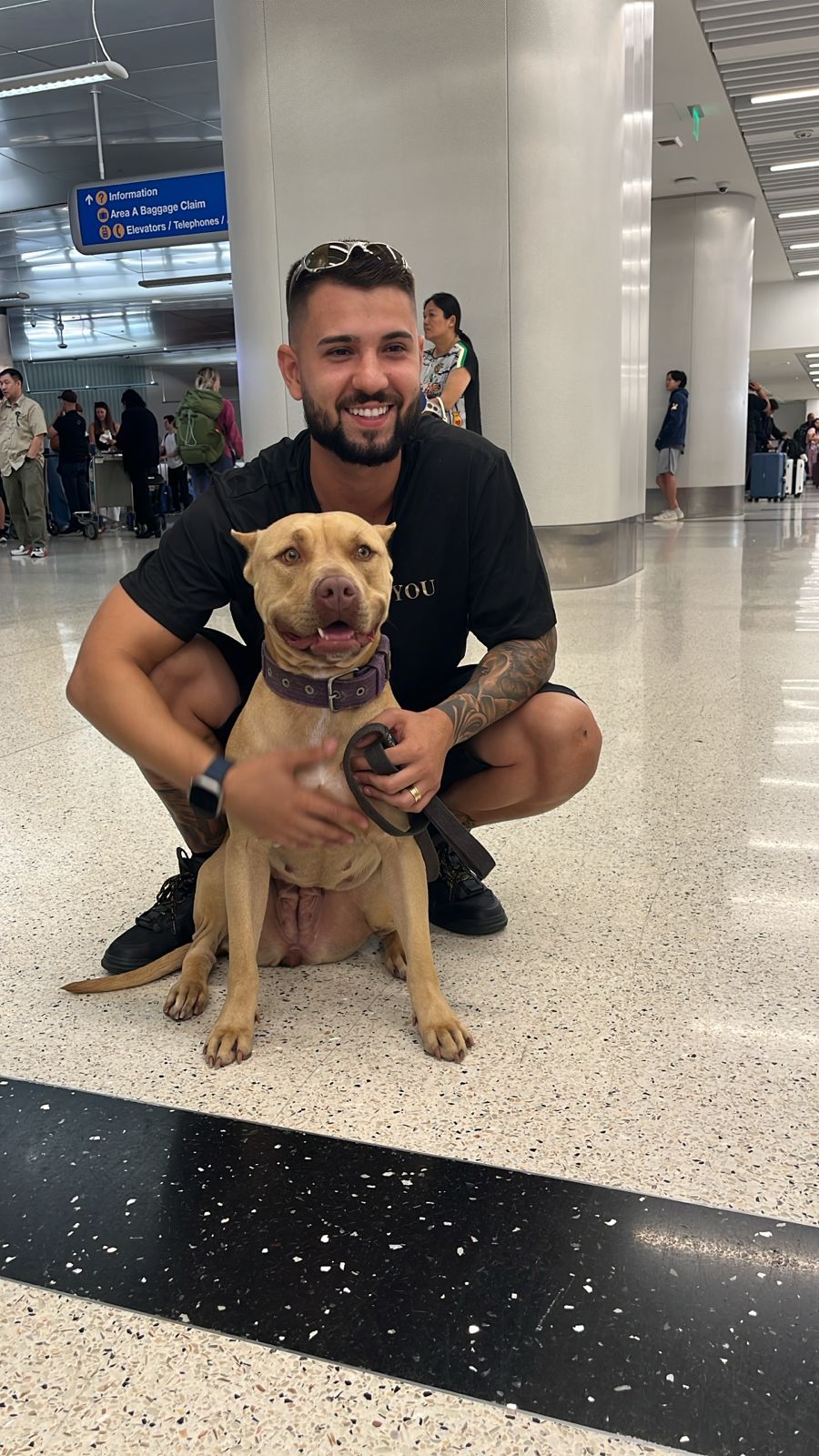 Família com pet no aeroporto
